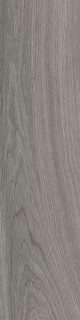 Ragno Escape Grigio 12,5x50