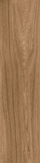 Ragno Escape Marrone 12,5x50