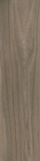 Ragno Escape Tortora 12,5x50