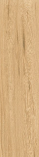 Ragno Escape Miele 12,5x50