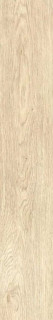 Ragno Inedito Avorio 20x120