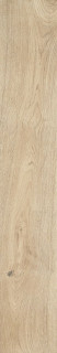 Ragno Grove Albero 20x120H0.85