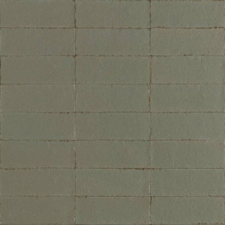 Ragno Glacé Muschio Glossy 7.5x20