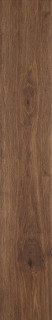 Ragno Grove Fusto 20x120H0.9