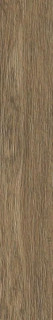 Ragno Inedito Cannella 20x120