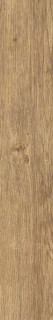 Ragno Inedito Nocciola 20x120