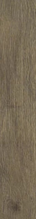 Ragno Inedito Cenere 20x120