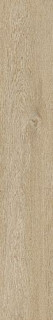 Ragno Ossimori Avorio Extra Matt Rett 20x120