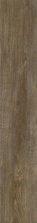 Ragno Inedito Cenere Grip Rett 20x120H0.95