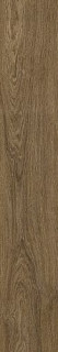 Ragno Ossimori Marrone Extra Matt Rett 20x120