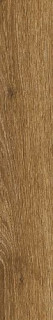Ragno Ossimori Miele Extra Matt Rett 20x120