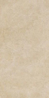Ragno Realstone Argent Miele RT 60x120