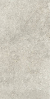 Ragno Richmond Taupe Rett 60x120