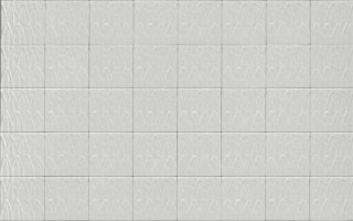 Ragno Sol Struttura Foglia Bianco 3D 15x15