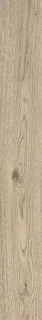 Ragno Vivo Grano Matt Rett 20x150H0.9