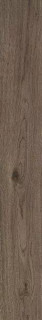 Ragno Vivo Castano Matt Rett 20x150H0.9