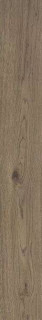 Ragno Vivo Tabacco Matt Rett 20x150H0.9