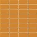 Ragno Unitech Inciso 2 Arancio Lux|Matt 20х20