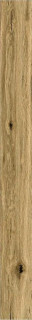 Ragno Woodclassic Beige 10x100