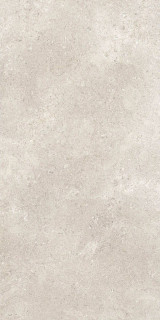 Refin Coquille Champagne Matt-Pro R 60x120H0.9