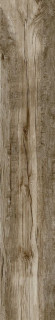 Ragno Woodmania Musk 20х120