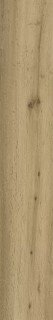 Ragno Woodstory Beige 15x90H0.8