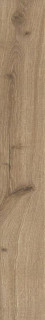 Ragno Woodessence Honey 10х70