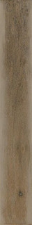 Ragno Woodcraft Beige 10x70