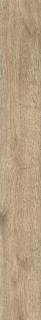 Ragno Woodreal Beige 9mm 13x100H0.9