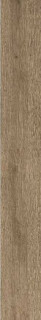 Ragno Woodreal Caramello 9mm 13x100H0.9