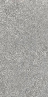 Refin Eras Grey R Matt 60x120H0.9