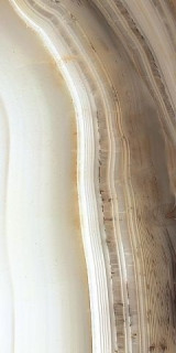 Rex Alabastri Bamboo Lucido Ret 60х120