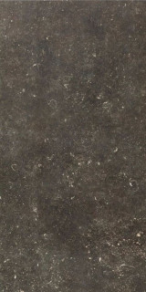 Rex Atmospheres De Rex Desir 60x120
