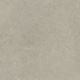Rex Espirit De Rex Neutral Gris 60х60