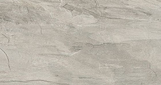 Rex Ardoise Gris Nat 30,4х60,8
