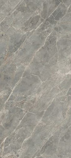 Rex Etoile De Rex Etoile Gris Glo 120х280