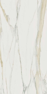 Rex I Classici Di Rex Cal. Gold Matte 60х120