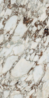 Brèche Capraia Matte 60х120