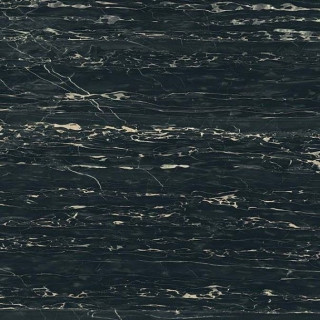 Rex I Classici Di Rex Portoro Glossy 80x80