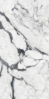 Calacatta Altissimo Blanc Glossy 60х120
