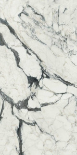 Calacatta Altissimo Blanc Matte 60х120