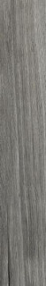 Rex Planches de Rex Perle 20х120