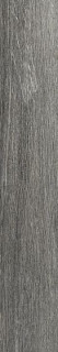 Rex Planches de Rex Perle 15х90