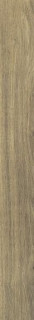 Rex Planches de Rex Noisette 20х180