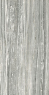 Rex Prexious of Rex Pearl Atraction 120x240