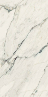 RHS Canova Breccia Capraia Lap Ret 60x120H0.85