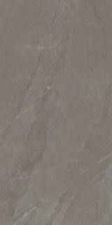 RHS Angers Olive Advance Ret 60x120H0.85