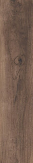 RHS Aspen Brown 20,5х100