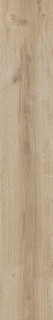 RHS Bricola Miele 20х120