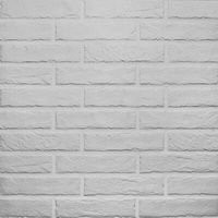 RHS White Brick 6х25